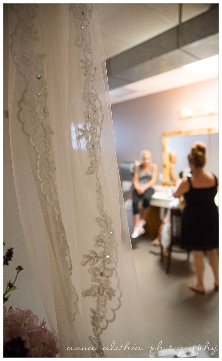 Baraboo Arts and Convention Center Wedding Photography
